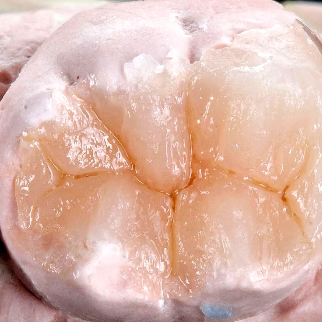 Prancheta 1 cópia 16 (2)